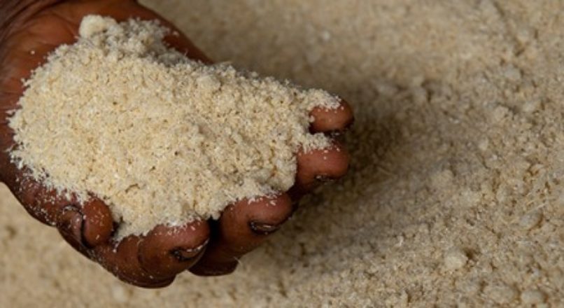 Acompanhar tendências aprimora a qualidade da Mandioca