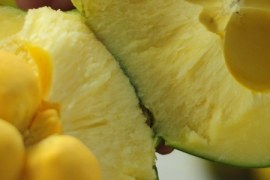 Valor comercial às frutas do cerrado