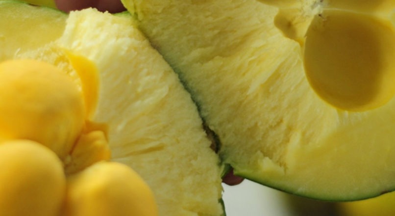 Valor comercial às frutas do cerrado