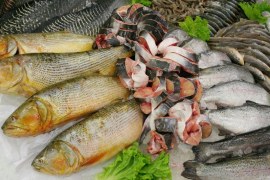 Espécies de pescado mais cultivadas no Brasil