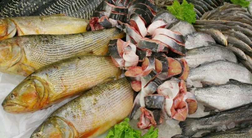 Espécies de pescado mais cultivadas no Brasil