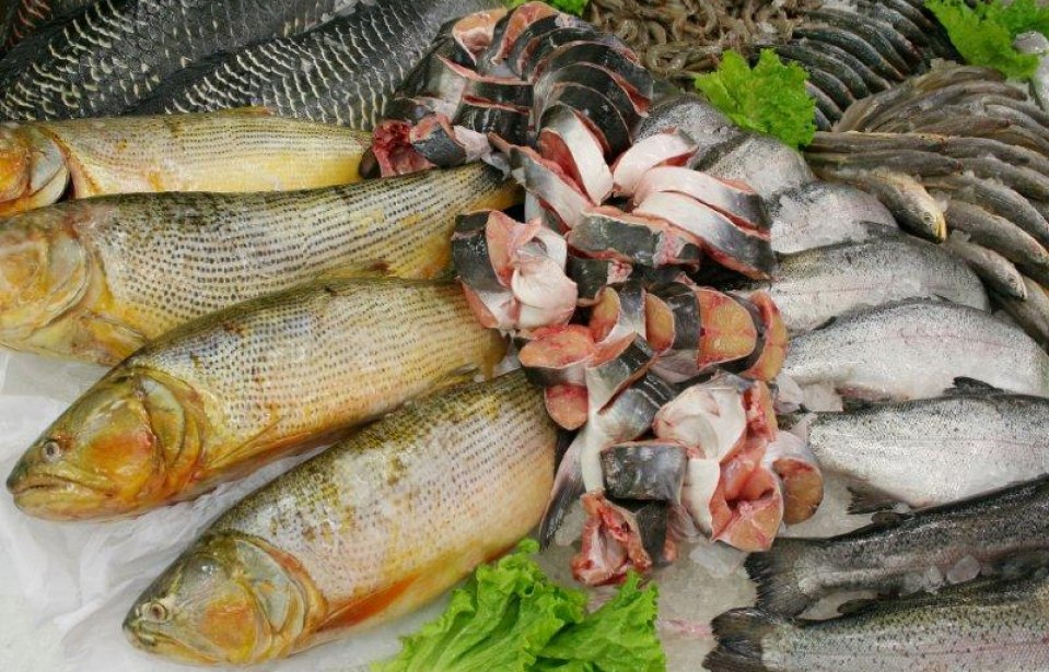 Espécies de pescado mais cultivadas no Brasil