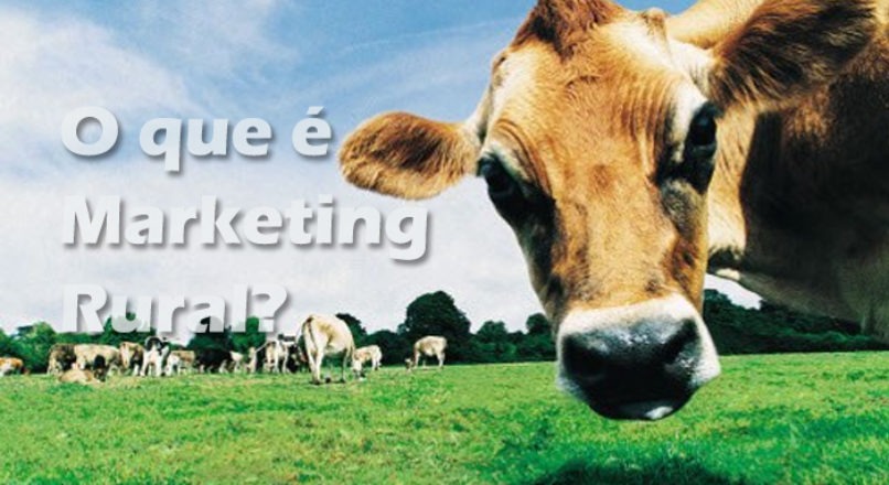 Já ouviu falar em marketing rural?