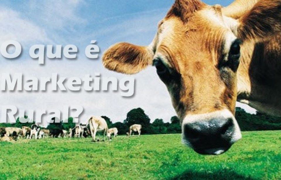 Já ouviu falar em marketing rural?