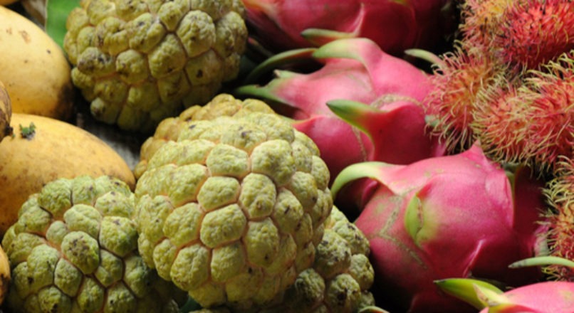 Frutas exóticas conquistam o mercado