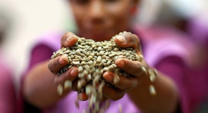 Café: uma gama de oportunidades