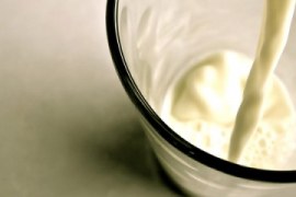 Exigências para a nova realidade do mercado do leite