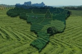 Agronegócio: atividade próspera no Brasil