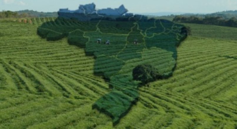 Agronegócio: atividade próspera no Brasil