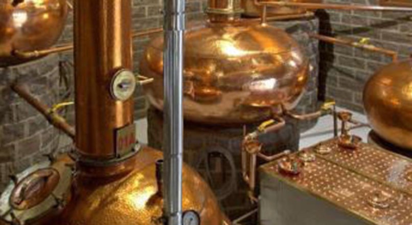 Corte da cana, recomendações para melhorar produção da cachaça