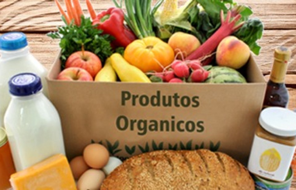 Projeções para o mercado de orgânicos