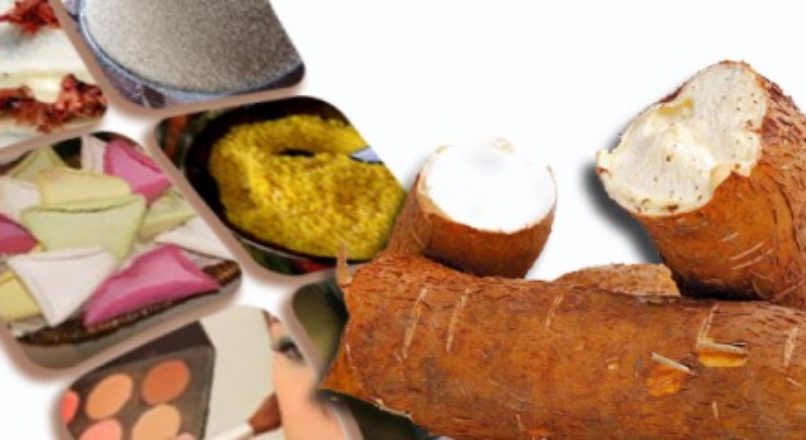 Derivados da mandioca como oportunidades de negócios