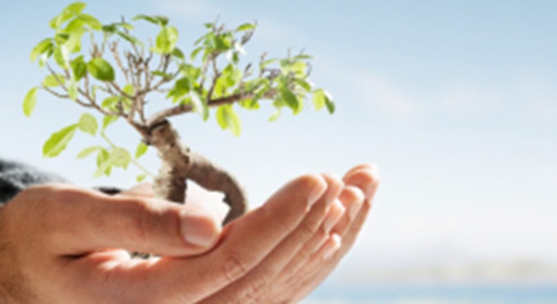 Sustentabilidade nos pequenos negócios