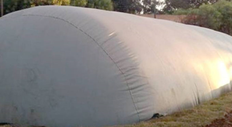 Produção de energia a partir de dejetos agropecuários
