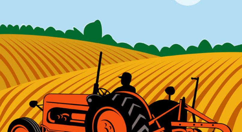 Agricultura familiar e alimentação escolar de mãos dadas