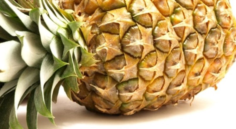 Cultivo e mercado do abacaxi