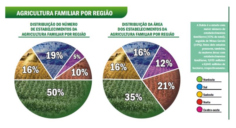 Agricultura Familiar no mercado institucional e nos programas governamentais