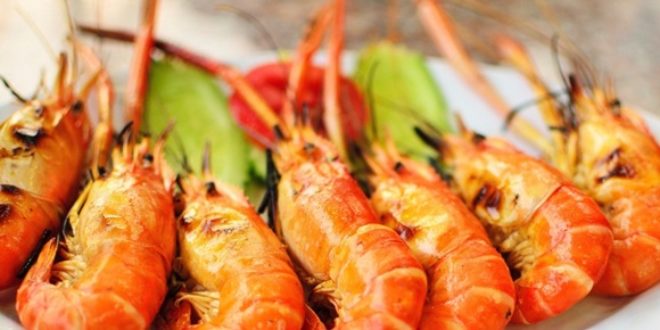 Download Tematicos da praia cabeceiras For iPhone Free