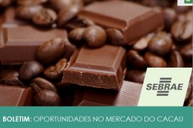 OPORTUNIDADES DE NEGÓCIOS NO MERCADO DE CACAU E DE CHOCOLATES