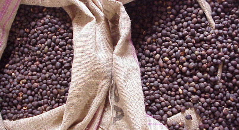Cafés gourmet e orgânico: análise do produto