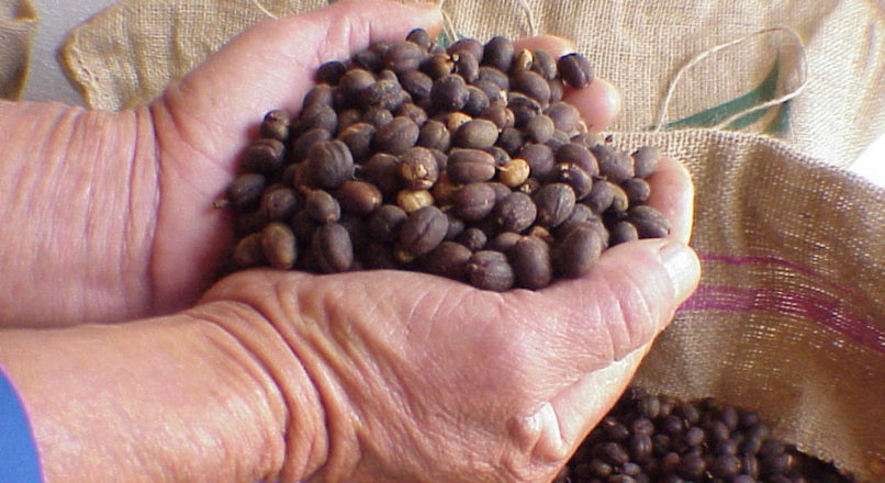 Cafés gourmet e orgânico: definição de preço
