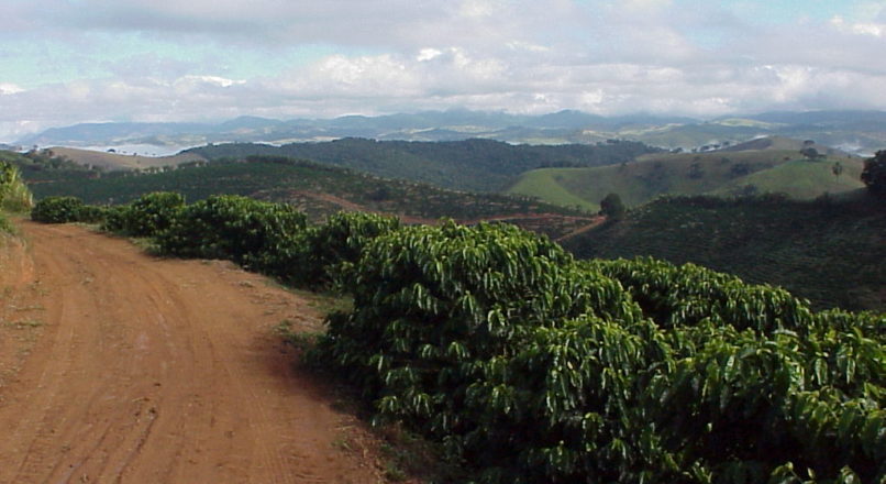 Cafés gourmet e orgânico: turismo