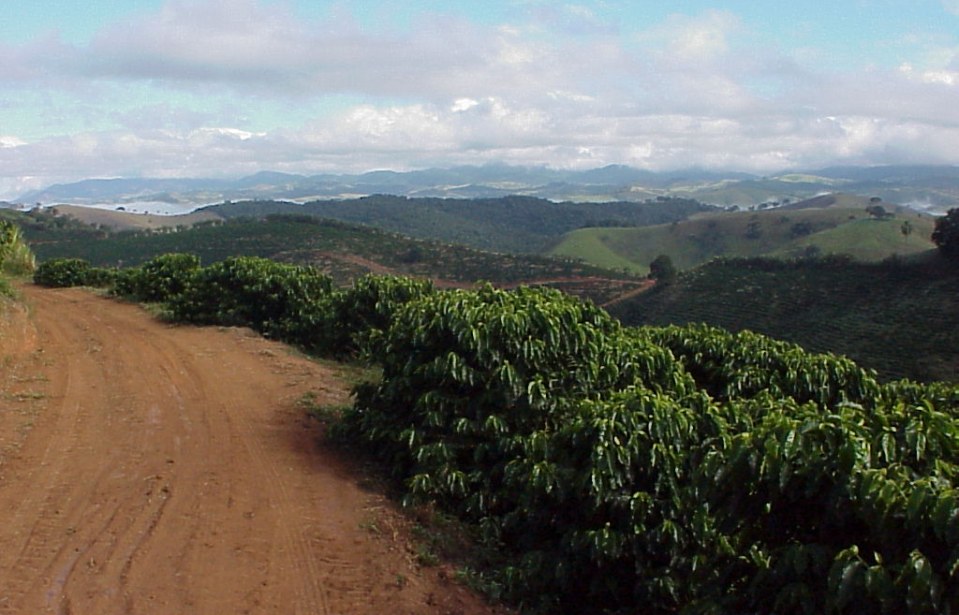 Cafés gourmet e orgânico: turismo