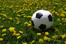 Estrangeiros que visitaram o Brasil na Copa querem voltar