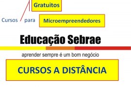 CURSOS A DISTÂNCIA E GRATUITOS DO SEBRAE, PARA CAPACITAR EMPRESÁRIOS DE MICROEMPRESA