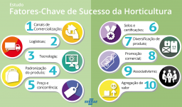 Fatores-Chave de Sucesso em HORTICULTURA