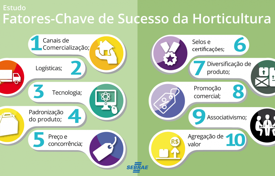 Fatores-Chave de Sucesso em HORTICULTURA