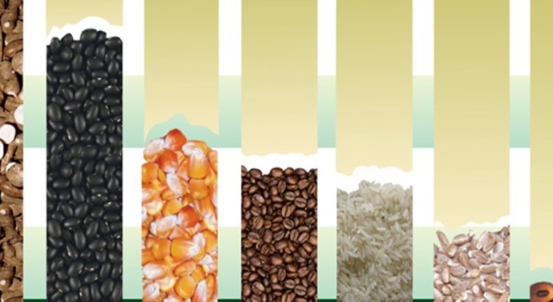 Como fornecer merenda escolar para seu município ou estado?