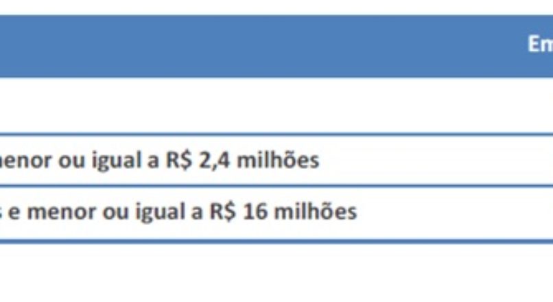 Perfil das Empresas Brasileiras Desenvolvedoras de Jogos Digitais
