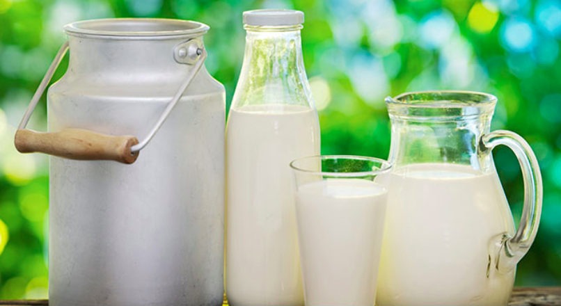 Tendência de mercado: leite com baixo teor de lactose