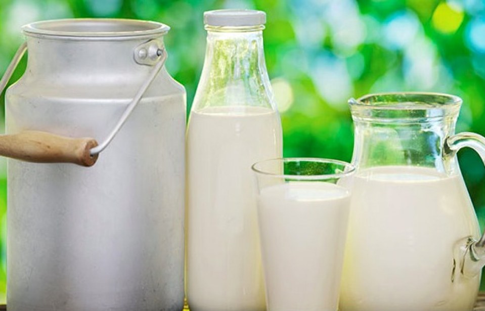 Tendência de mercado: leite com baixo teor de lactose