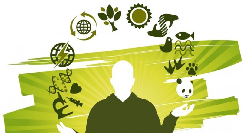 O lucro nas empresas sustentáveis
