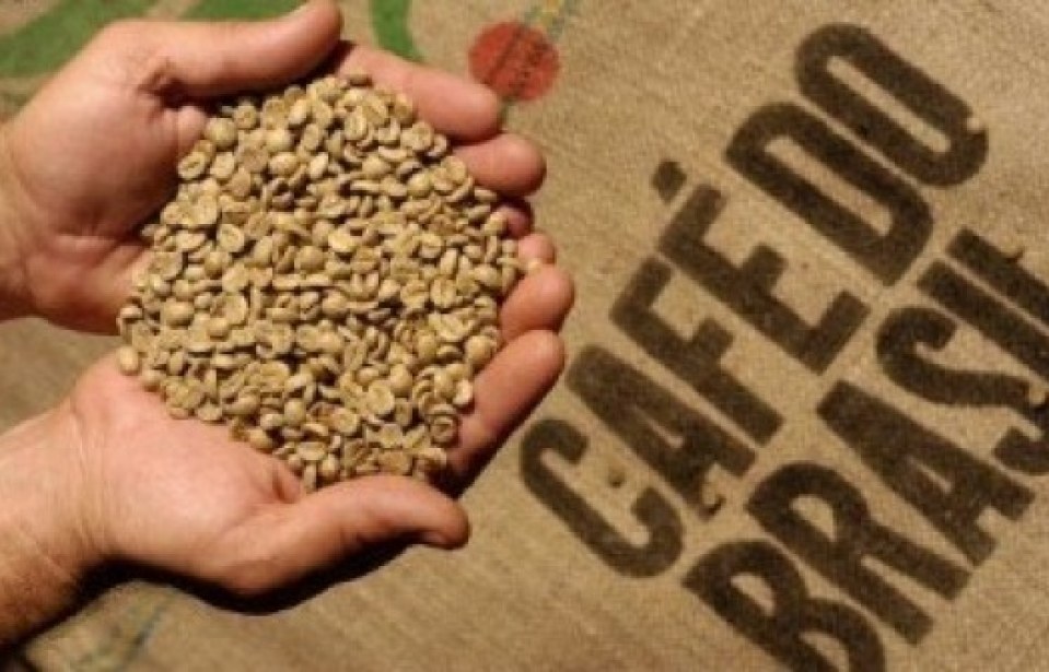 Produção de cafés certificados cresce no Brasil