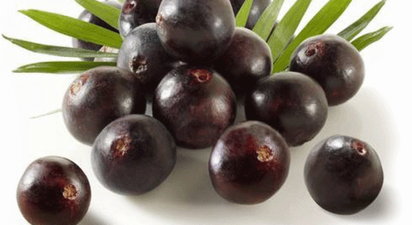 A importância do açaí no norte do Brasil e o viés sustentável de sua produção