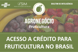 Boletim – Acesso a crédito para fruticultura no Brasil