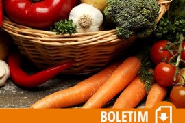 BOLETIM TENDÊNCIAS – Agricultura Comunitária: parceria entre produtores e consumidores