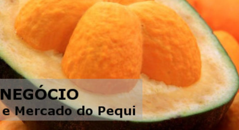 Neuromarketing: poderosa ferramenta para conhecer o consumidor