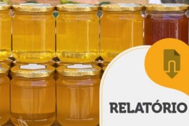 RELATÓRIO INTELIGÊNCIA – Caminho do mel até o consumidor