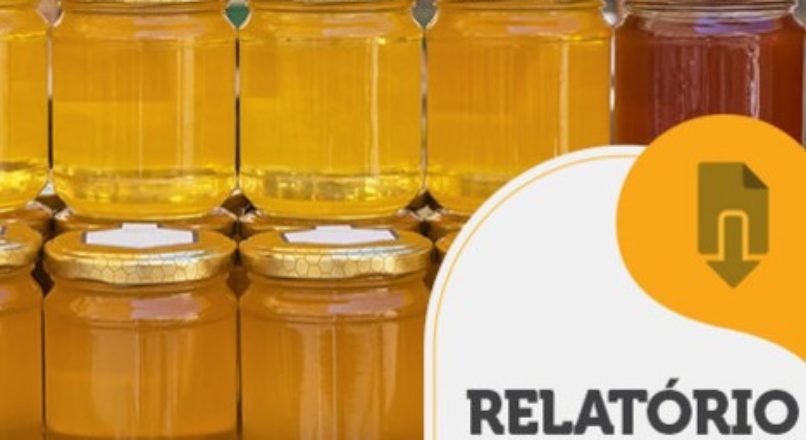 RELATÓRIO INTELIGÊNCIA – Caminho do mel até o consumidor