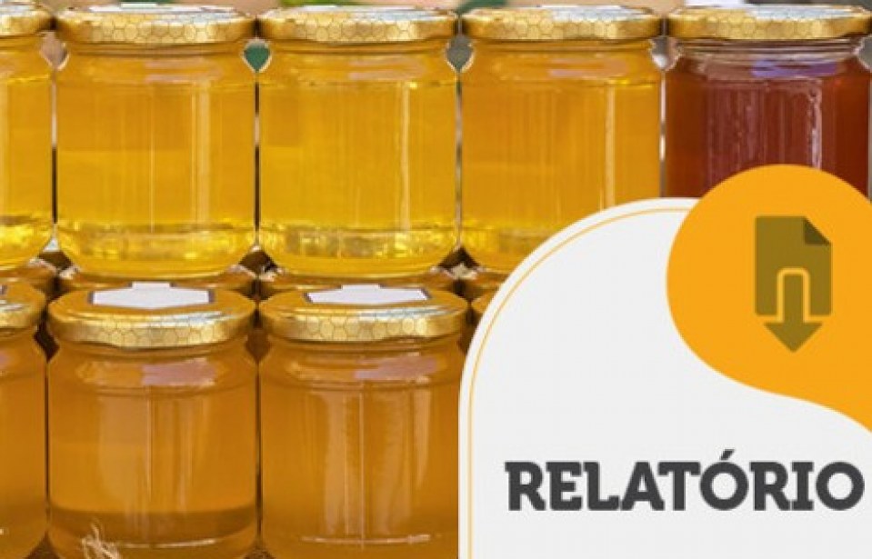 RELATÓRIO INTELIGÊNCIA – Caminho do mel até o consumidor