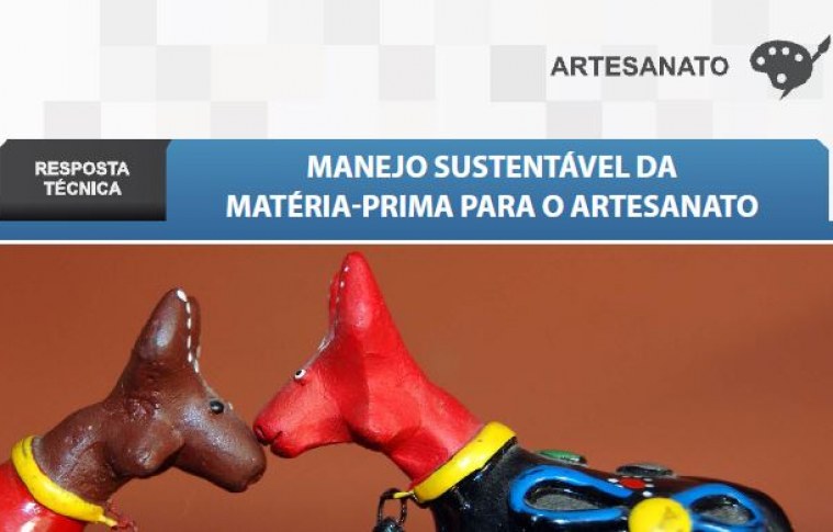 Boletim – Manejo sustentável da matéria-prima para o Artesanato