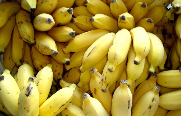 Investir em banana orgânica é um bom negócio