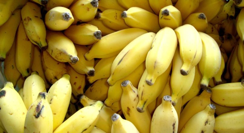 Investir em banana orgânica é um bom negócio - Sebrae Respostas