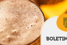 BOLETIM TENDÊNCIAS – Fabricação de Cerveja com Mel