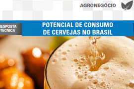 Boletim- Potencial de consumo de cervejas no Brasil