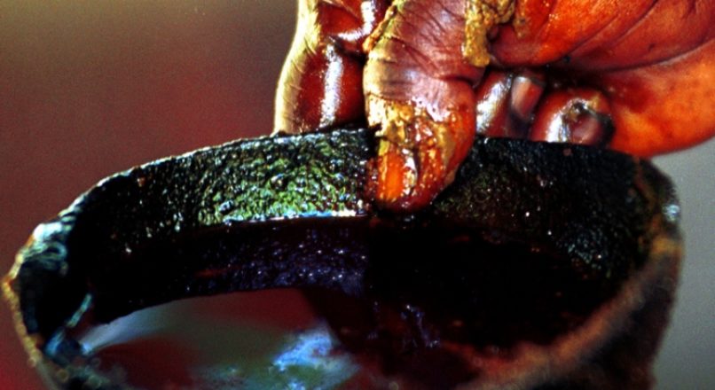 Resíduos do Azeite de dendê viram biocombustível no Pará